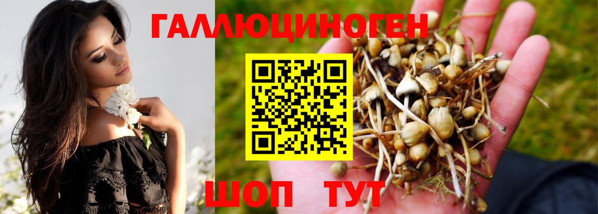 Псилоцибиновые грибы прущие грибы  Галлюциногенные грибы ЛСД  Петрозаводск  Вход с VPN 